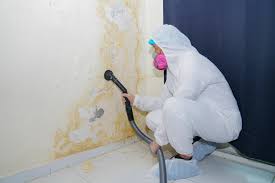 Best Mold Odor Removal Services  in Avenal, CA